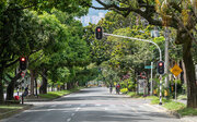 زیرساخت‌های سبز چگونه دارایی پنهان شهرهای آینده هستند؟