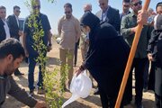 تحقق عدالت زیستی از اولویت‌های دولت چهاردهم است