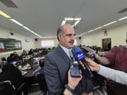 توقف کامل بهره‌برداری چوبی از جنگل‌های هیرکانی