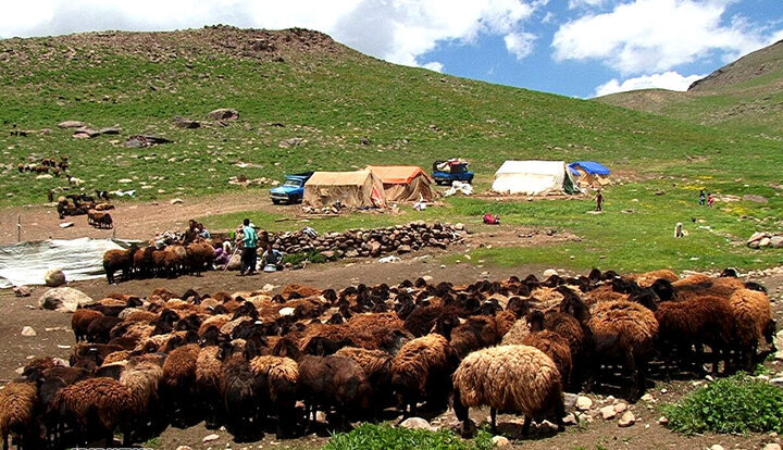 گامهای مؤثر برای ارتقای زیرساخت و خدماترسانی به عشایر پادنا