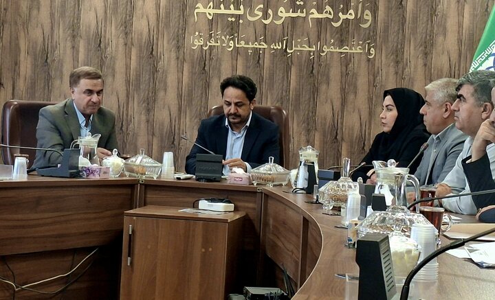 شهرداری سنندج موظف به ساماندهی سگ‌های بلاصاحب است