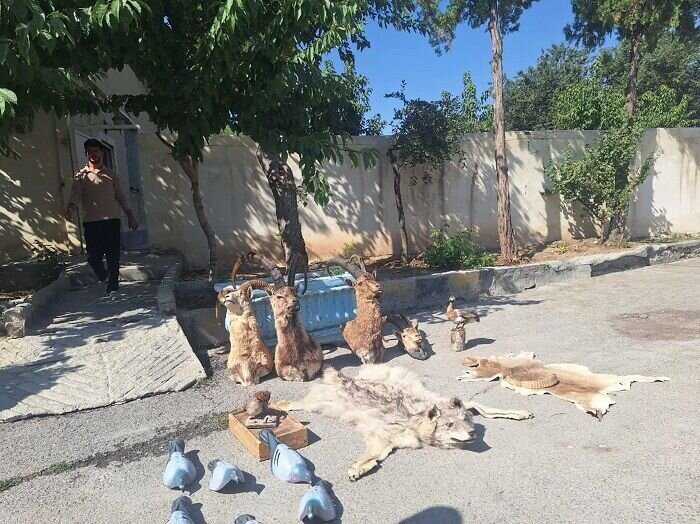 کشف محموله سلاح از مخفیگاه باند شکارچیان غیرمجاز در چهارمحال‌وبختیاری
