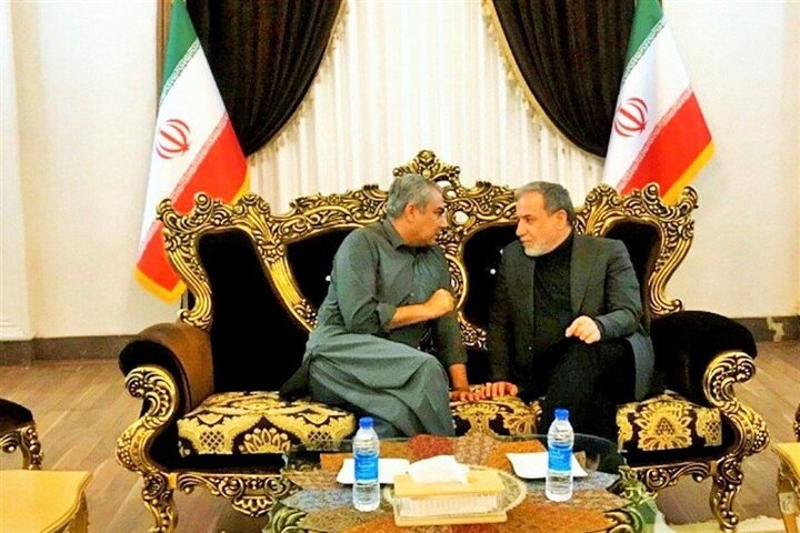 گفت‌وگوی عراقچی با وزیر کشور پاکستان در فرودگاه مشهد