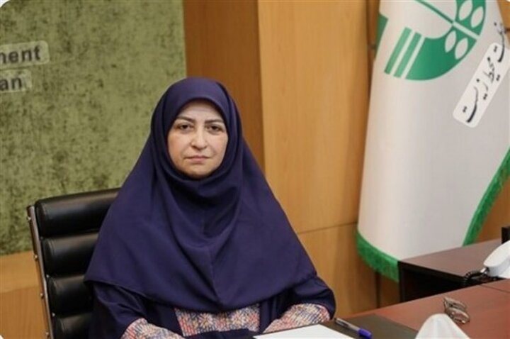 پاکسازی سواحل جنوبی قشم و جزیره هنگام از آلودگی نفتی