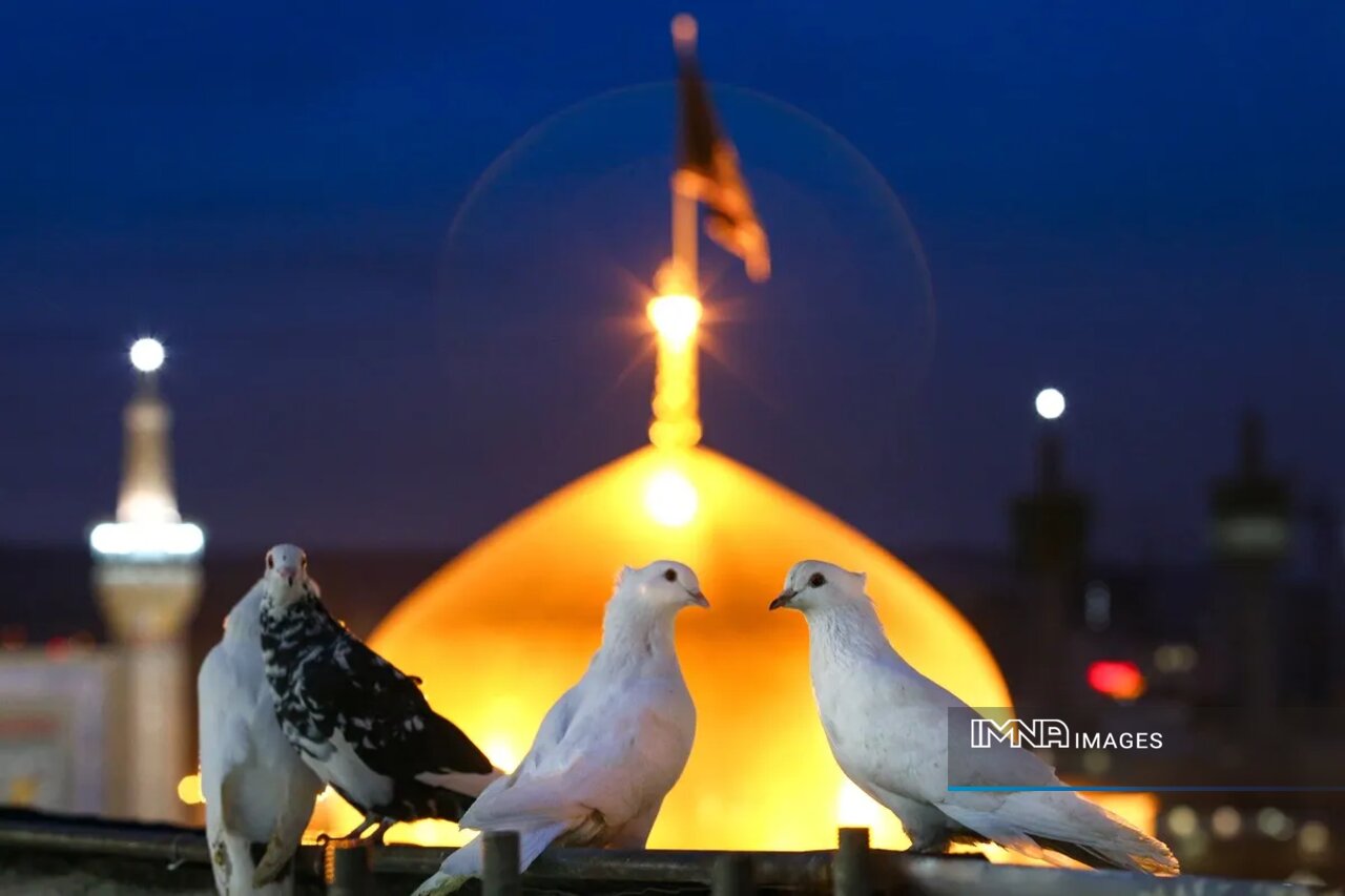 برای امامی که هنوز پناه دل‌هاست
