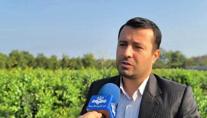 آزادی ۲ زندانی جرائم غیرعمد در تنکابن به برکت موقوفات
