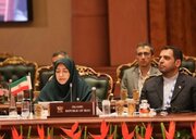 ایران در مقابله با تخریب محیط‌ زیست جهانی، خواستار همگرایی کشورهای جنوب شد