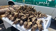 ماجرای کشف ۴۱ جمجمه آهو از چاه آب چه بود؟