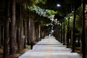 سیر تا پیاز باغ‌راه زائر در کرمان
