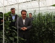 بهره‌برداری و آغاز عملیات اجرایی ۱۳ پروژه با اعتبار ۶۵۰ میلیارد تومان در هلیلان