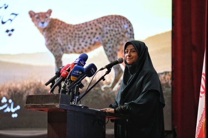 پروژه حفاظت از یوز را با قوت دنبال می‌کنیم