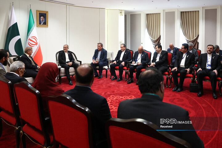 دیدار نخست‌وزیر پاکستان با رئیس جمهور