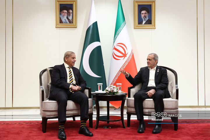 دیدار نخست‌وزیر پاکستان با رئیس جمهور