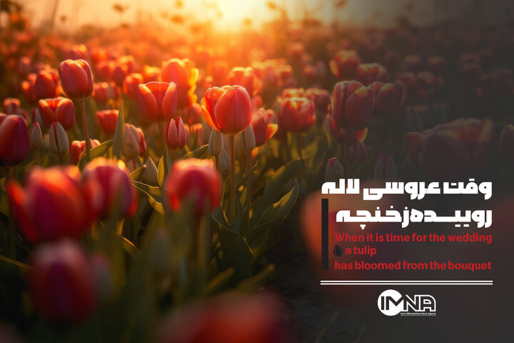 وقت عروسی لاله روییده زِ خنچه