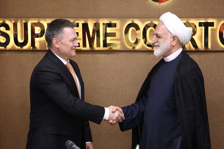 کراسنوف با اژه‌ای دیدار کرد/ تجلیل عالی‌ترین مقام قضایی روسیه از مقاومت ملت ایران