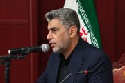 کرمان شهر جهانی صنایع دستی می‌شود
