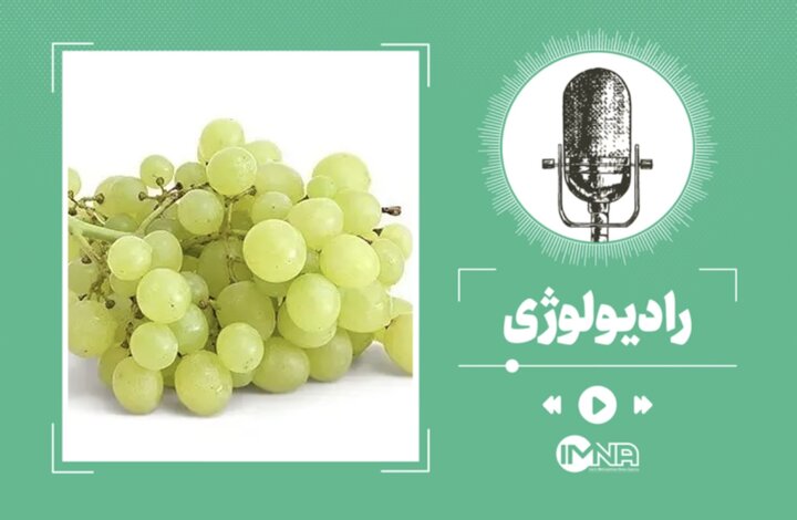خواص انگور؛ از سلامت قلب و گوارش تا آنتی‌اکسیدان‌های قوی