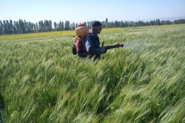 تغییر رویکرد از مدیریت ریسک به مدیریت بحران در لرستان