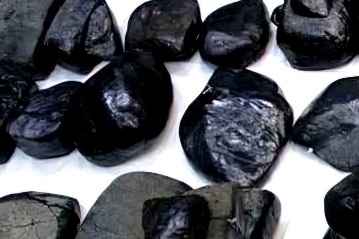 دستگیری ۲ سوداگر مرگ در آمل