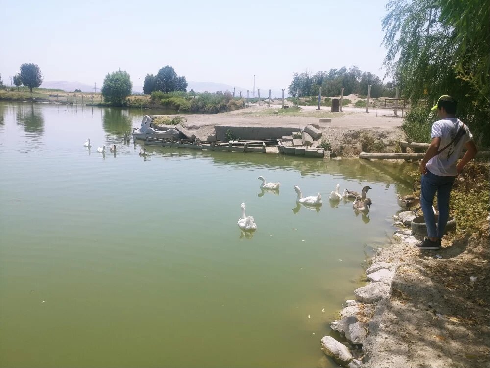 &nbsp;برکه گلمرز