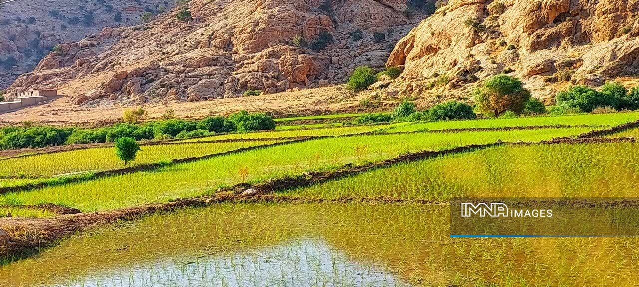 از باغ‌های انار تا گوردخمه باستانی؛ گلین، بهشت گمشده گیلانغرب