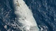 Reverse Engineering Awaits Dive-LD