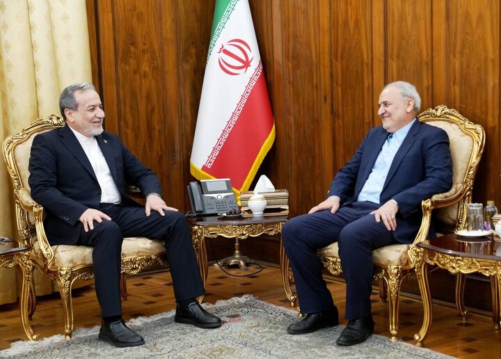 دیدار سفیر جمهوری اسلامی ایران در پاکستان با عراقچی