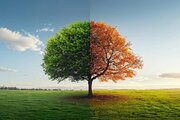 از گرمای تابستان تا خنکای پاییز؛ نکات مهم برای مراقبت از بدن
