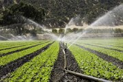 اردبیل پیشتاز آبیاری نوین کشور/ هدف‌گذاری اجرای ۱۰ هزار هکتار طی ۵ سال آینده