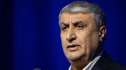 بلومبرگ: آمریکا مانع شرکت محمد اسلامی در نشست آژانس شد