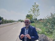 گره‌های عمرانی امیرکلا یکی‌یکی باز می‌شود/ جاده ساحلی به ۹۰ درصد رسید