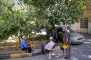 در کوچه پس‌کوچه‌های شهر اصفهان؛ محله سیچان