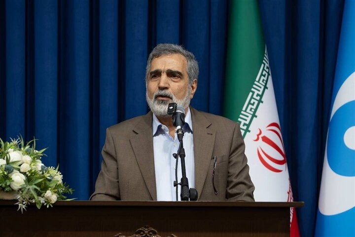 ایران گزینه‌های زیادی برای دفاع از خود دارد