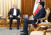 تاکید عراقچی بر گسترش روابط ایران با کشورها در دیدار با سفرای جدید