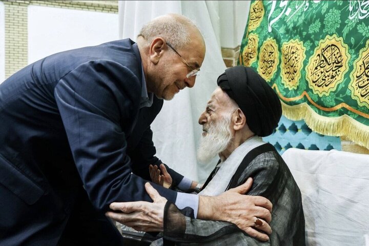 رئیس مجلس درگذشت آیت‌الله شبیری زنجانی را تسلیت گفت