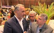 ظرفیت‌های شهرستان‌ها باید در تراز ملی معرفی شود