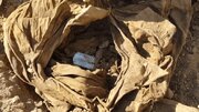 کشف و شناسایی پیکر شهید ارتشی پس از ۴۰ سال