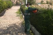 هرس توپیاری هزار اصله درخت و درختچه در پارک صفه