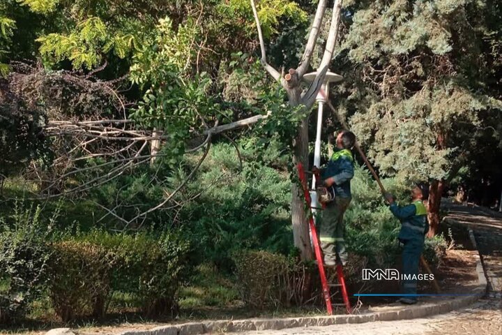خشکه‌بری درختان پارک صفه برای افزایش ایمنی و حفظ سلامت فضای سبز