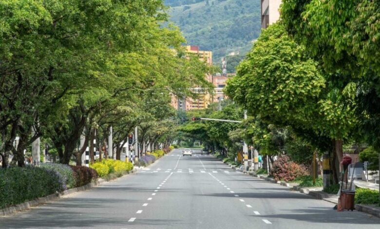 نسخه سبز شهرهای جهان برای مقابله با بحران انرژی