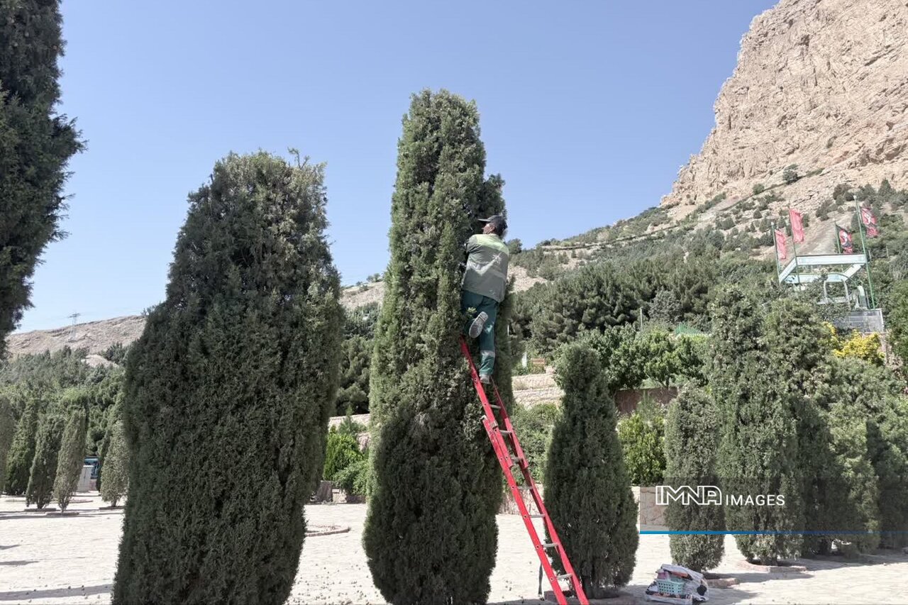 هرس ۳۵۳ هزار مترمربع پرچین در فضای سبز منطقه ۵ اصفهان