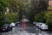 از بوستان تا شهر اسفنجی؛ بازتعریف نقش فضای سبز در مدیریت باران