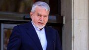 جامعه فراتر از دولت دغدغه ایران و میراث فرهنگی را دارد