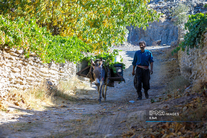 روستای تاریخی هزاوه ؛ زادگاه «میرزا تقی‌خان امیرکبیر»