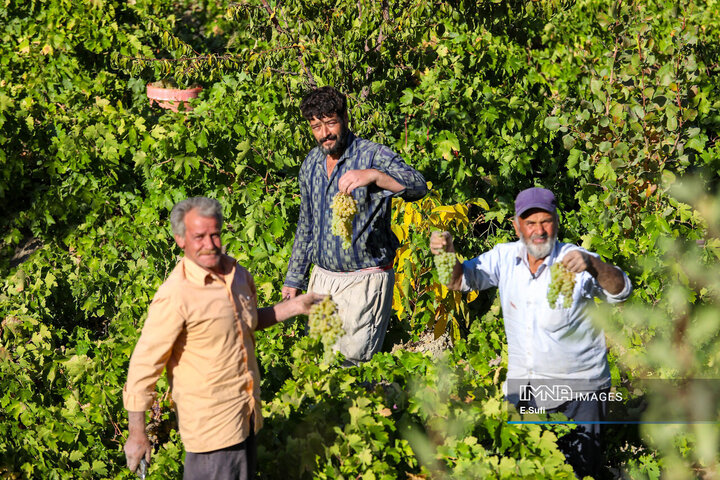 روستای تاریخی هزاوه ؛ زادگاه «میرزا تقی‌خان امیرکبیر»