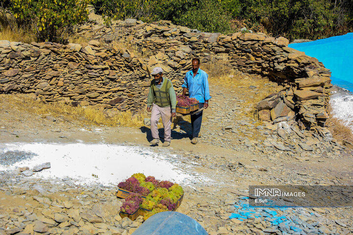 روستای تاریخی هزاوه ؛ زادگاه «میرزا تقی‌خان امیرکبیر»