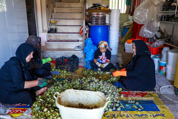 روستای تاریخی هزاوه ؛ زادگاه «میرزا تقی‌خان امیرکبیر»