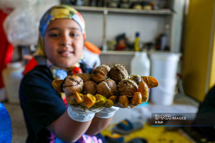روستای تاریخی هزاوه ؛ زادگاه «میرزا تقی‌خان امیرکبیر»