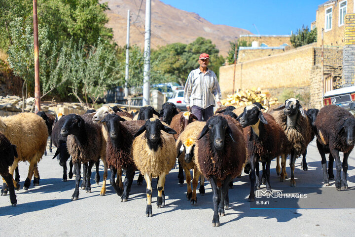 روستای تاریخی هزاوه ؛ زادگاه «میرزا تقی‌خان امیرکبیر»