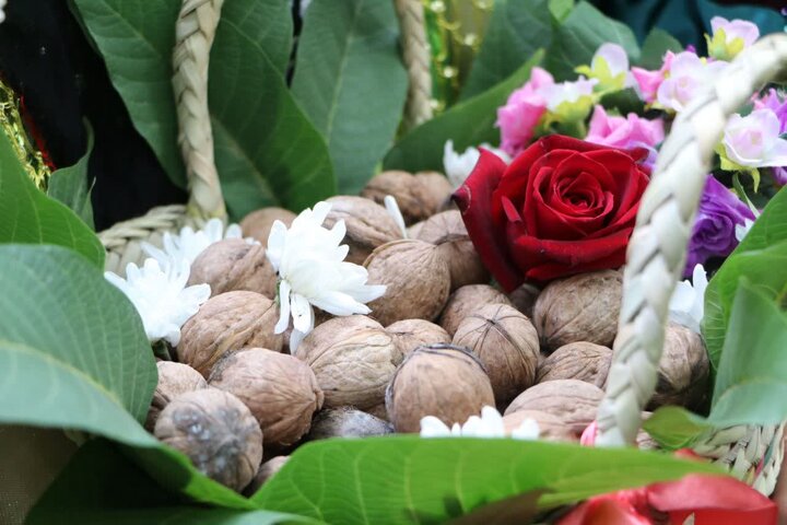 گردوی سلسله در مسیر برندسازی؛ از ظرفیت کشاورزی تا رونق گردشگری کهمان